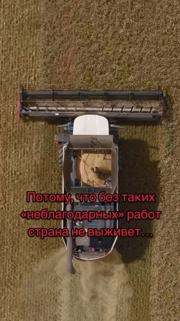 Зачем ты этим занимаешься?