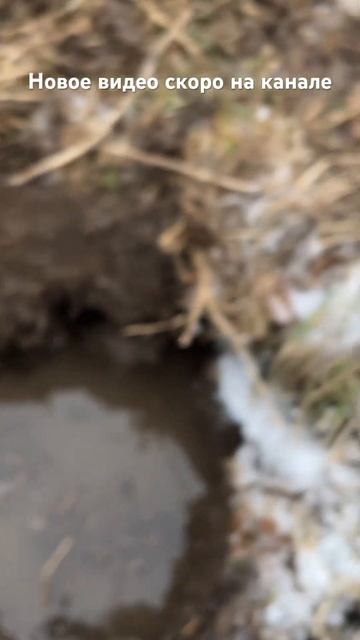 #noktalegend  #коп  #путешествие  #поискиклада  #коп  #природа