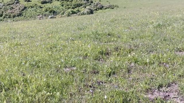 Видео2 (online-video-cutter.com) смотреть онлайн