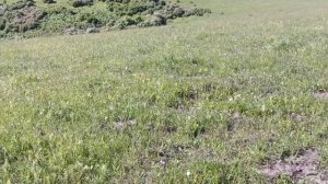 Видео2 (online-video-cutter.com)