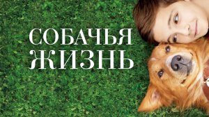 Собачья жизнь (фильм 2017) / A Dog's Purpose
