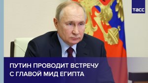 Путин проводит встречу с главой МИД Египта