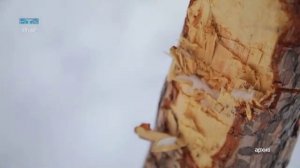 Новости ТВИН 02.04.2026