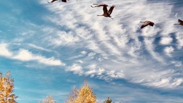 Поздравление с днем Великой Победы