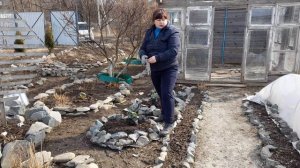 АПРЕЛЬ.Высадила хризонтему и другие цветы