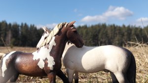 Метеор и Арчи/клип шляйх "Друзья навеки"