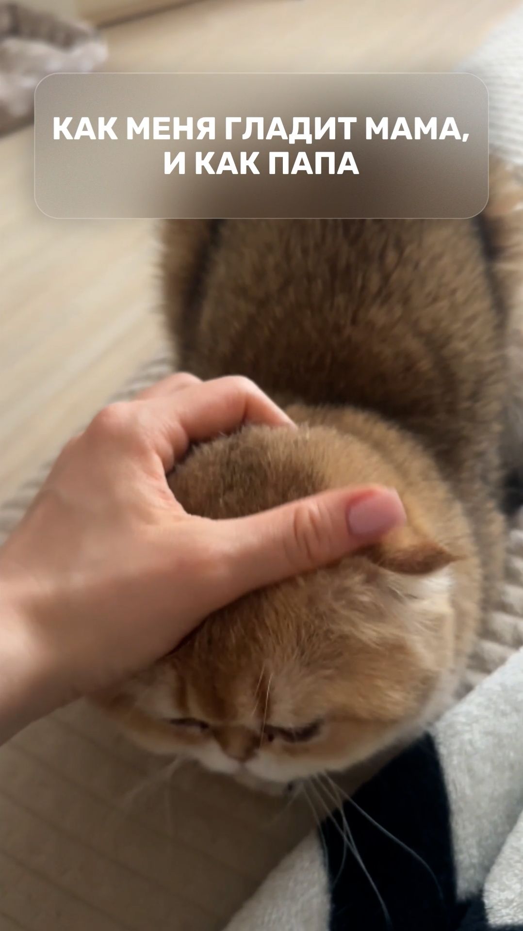 Как меня гладит мама, и как папа