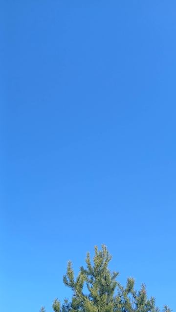 ПОЗВОНИЛА ВЕСНА!