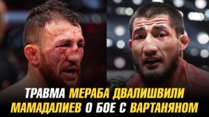 Травма Мераба Двалишвили / Нейт Диаз отказался от боя в UFC / Мамадалиев о бое с Вартаняном