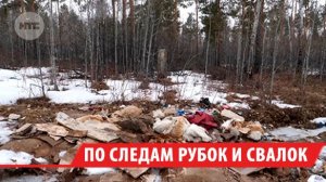 Стихийную свалку с останками животных обнаружили в лесу под Иркутском