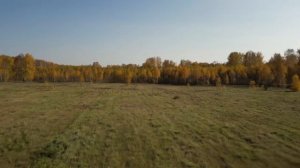 5 гектаров земли у Челябинска с огромным потенциалом