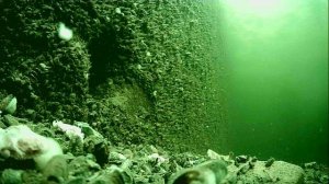 1000013759.mp4Волга гл.5м.02.04.2026г.