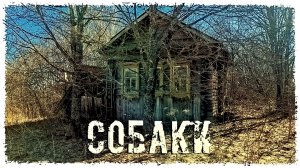 ЗАБРОШЕННАЯ ДЕРЕВНЯ «СОБАКИ»