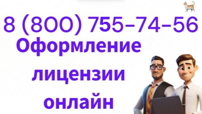 Оформление лицензии онлайн