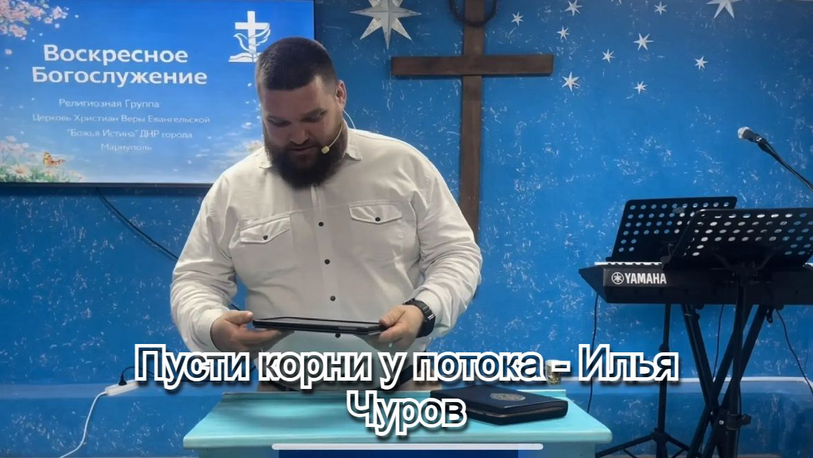 Пусти корни у потока - Илья Чуров