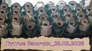Пустышки_28.03.2026