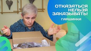 Я боялась их потерять… Распаковка зимой из Гаршинки