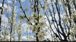 ЧТОБЫ Я БЕЗ НИХ ДЕЛАЛА 🥰ПРОСТО ЗОЛУШКА 🥰