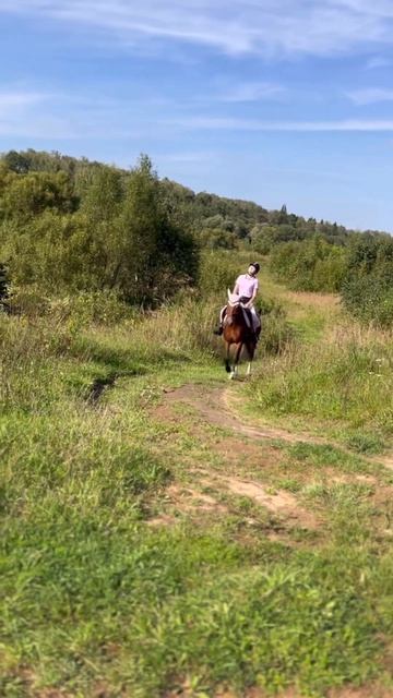 Прекрасное лето✨