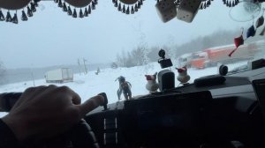 Снежный коллапс🥶 Потерял все документы🤦