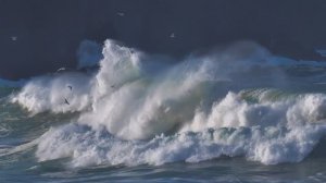 Сквозь сеть алмазную зазеленел восток ...