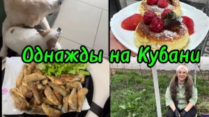 ❤️Хорошо работаем, вкусно отдыхаем/ Весенние хлопоты в южном селе.