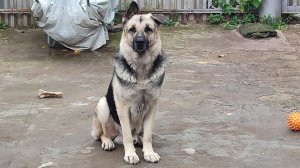 Стрим 2 апреля 2026 года!!!