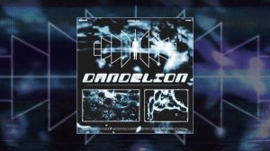 SKWLKR - DANDELION (Официальная премьера трека)