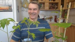 1 АПРЕЛЯ,САЖАЕМ ДЫНИ И АРБУЗЫ