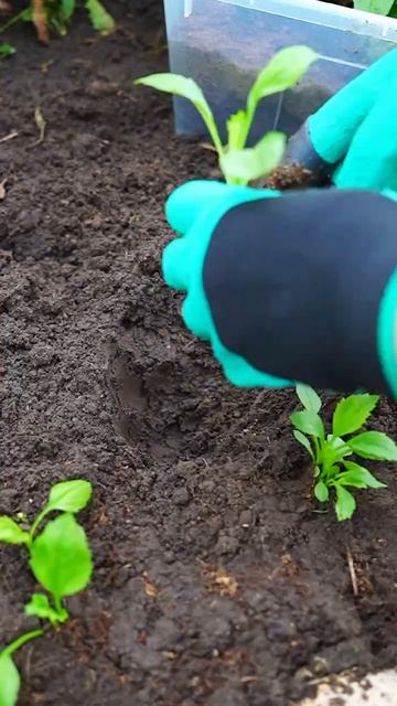 Крот в помощь!