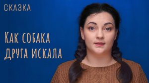 Сказка "Как собака друга искала"
