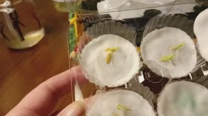 Высаживаю пророщенные семена огурцов для раннего урожая