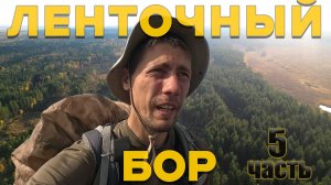 АЛТАЙ. ВОЛКИ. КРУГОМ БОЛОТА! Ленточный бор 5 часть
