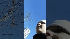 гуляем в Санкт-Петербурге