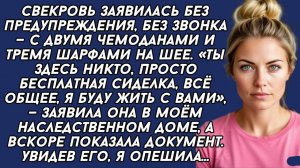 Ты просто бесплатная сиделка,- заявила СВЕКРОВЬ нагло поселившись в моём же доме.