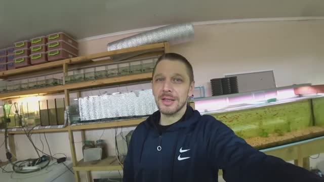 Где Серёга и снял крышу с теплицы