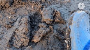 ИСПУГАЛАСЬ ОГОРОДА.