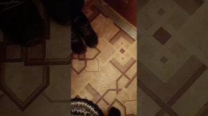 Фильм Страшный Страх (2026)✓[?]