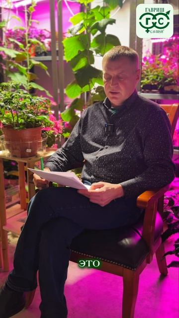 РЕДИС. ОПРЕДЕЛЯЕМСЯ С СОРТАМИ.