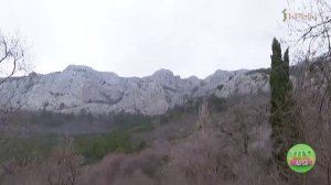 Учителя биологии стали участниками практического семинара на территории заказника «Ласпи»