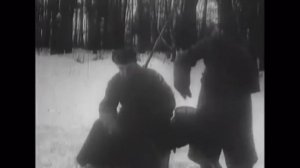 Песня о военных собаках