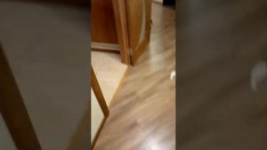 мы создали шапух