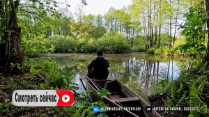 Островная жизнь. Строю хижину, ловлю рыбу и делюсь лайфхаками