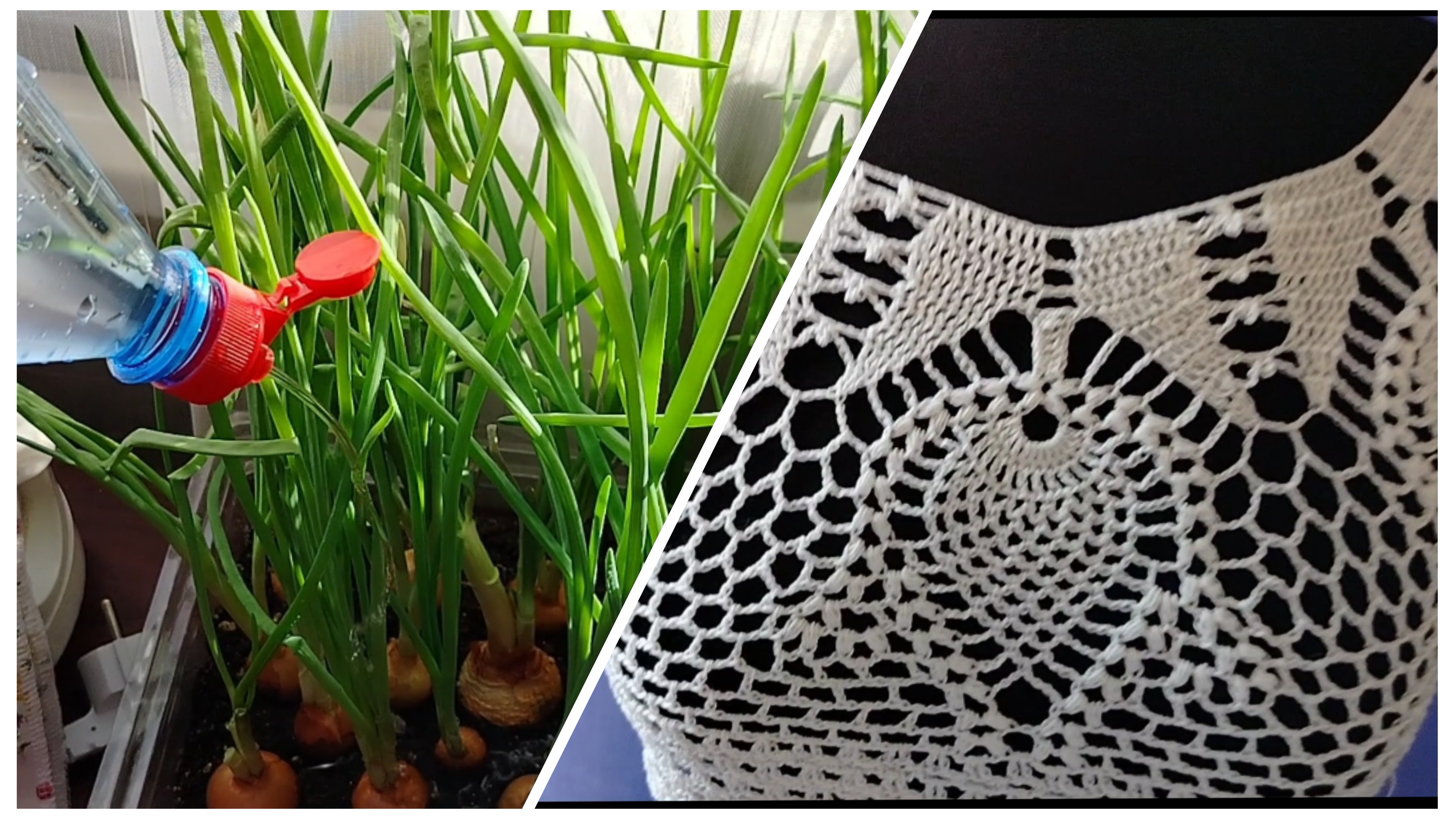 Лайфхак для огородников👍 Развейте мои сомнения🤗