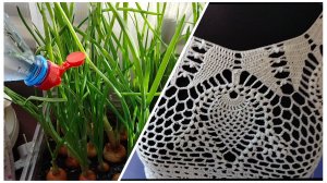 Лайфхак для огородников👍 Развейте мои сомнения🤗