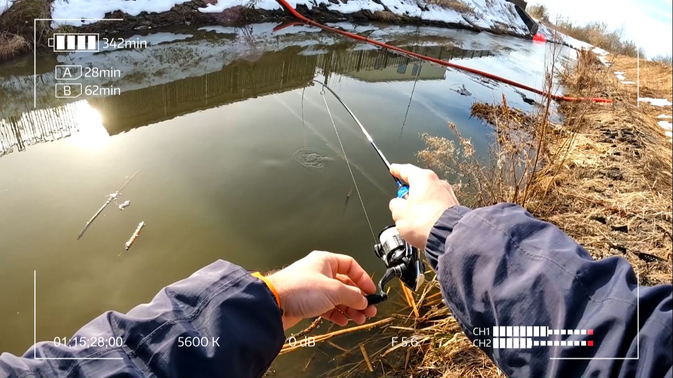 Я ждал ЭТУ рыбу и она клюнула!