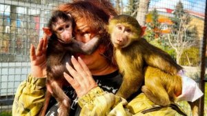 Николь ВЦЕПИЛАСЬ в маму, а Анфиса сходит с ума ОТ РЕВНОСТИ, что даже пришла ЗА ПОМОЩЬЮ КО МНЕ😅