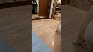 продолжение 7 части эфира нет