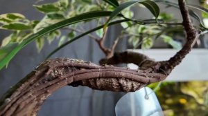 Новости ТВН от 02.04.26