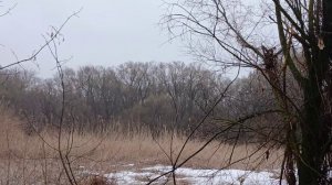 Я говорила, что это будет и оно началось